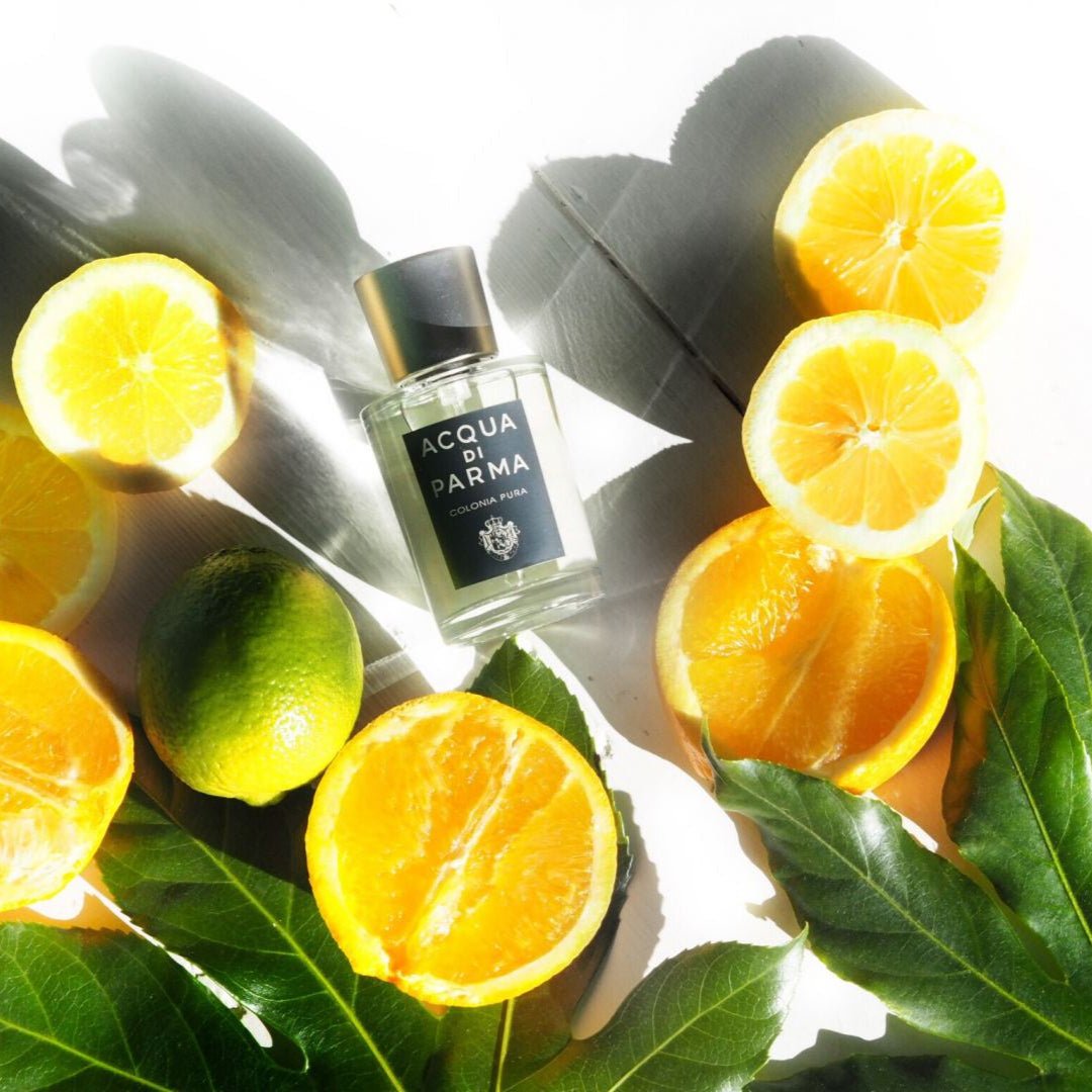 COLONIA PURA - Maison d'Exception