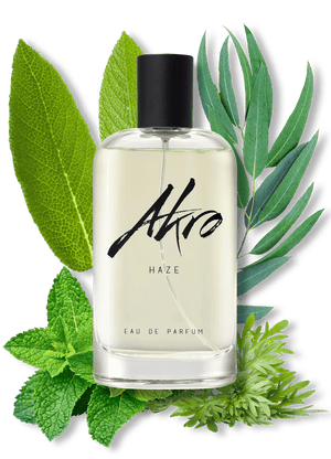 HAZE - Maison d'Exception