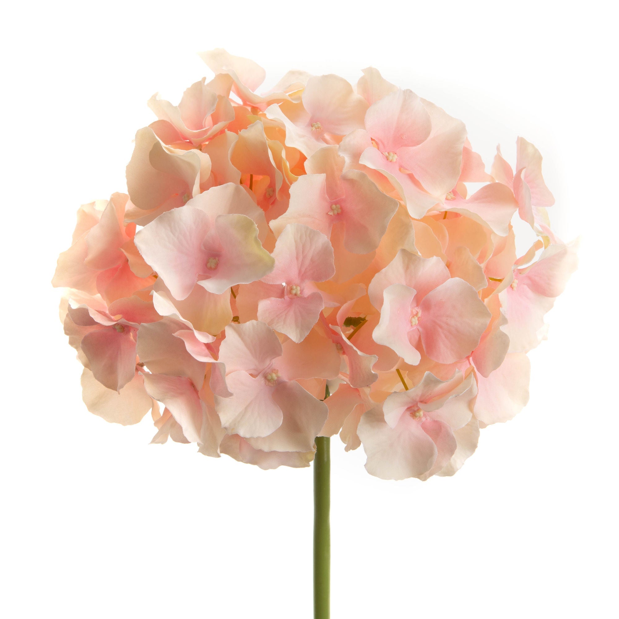 HORTENSIA ALTONA H48 RS - Maison d'Exception