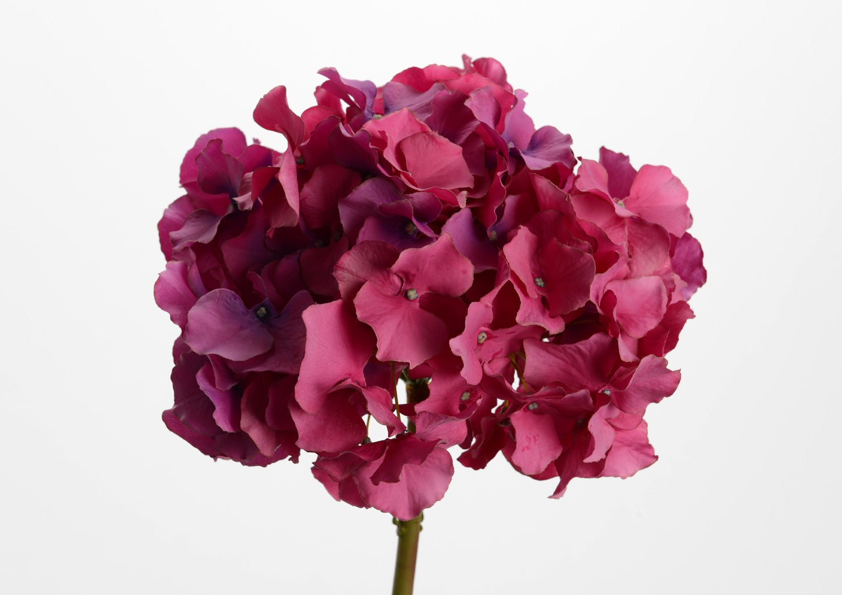 HORTENSIA ALTONA H48 RS/FU - Maison d'Exception