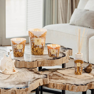 Sacred Trees Cocody - Maison d'Exception