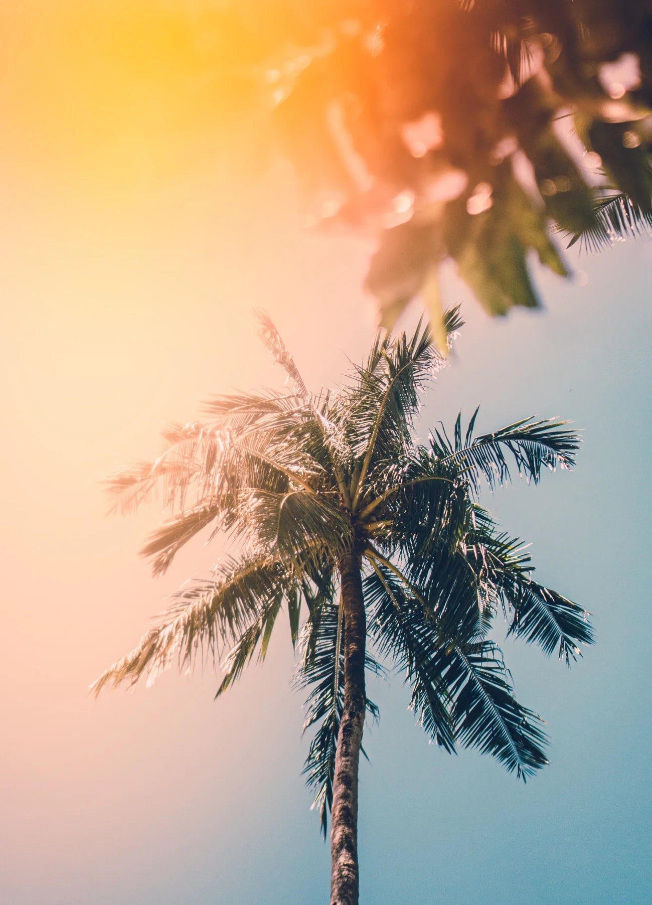 RISE - Maison d'exception boutique