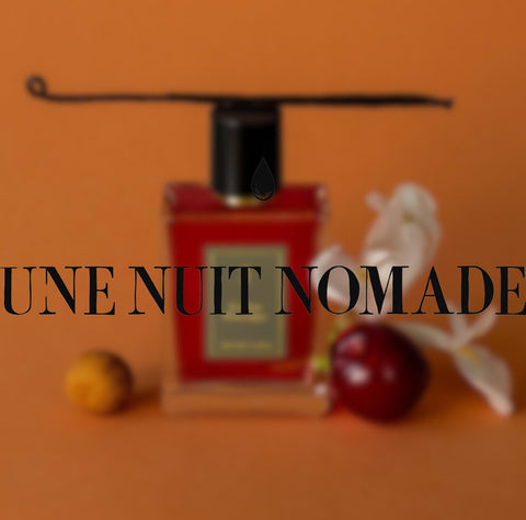 UNE NUIT NOMADE