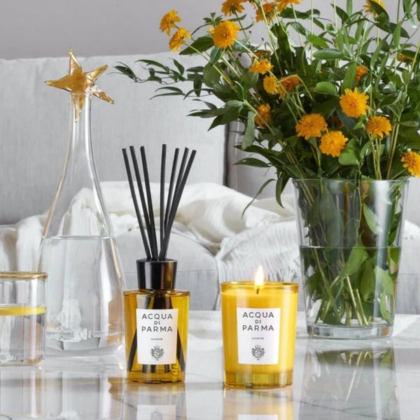DIFFUSEUR INSIEME - Maison d'Exception