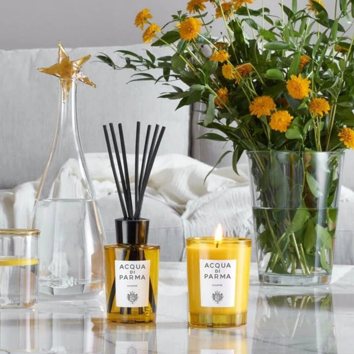 DIFFUSEUR INSIEME - Maison d'Exception