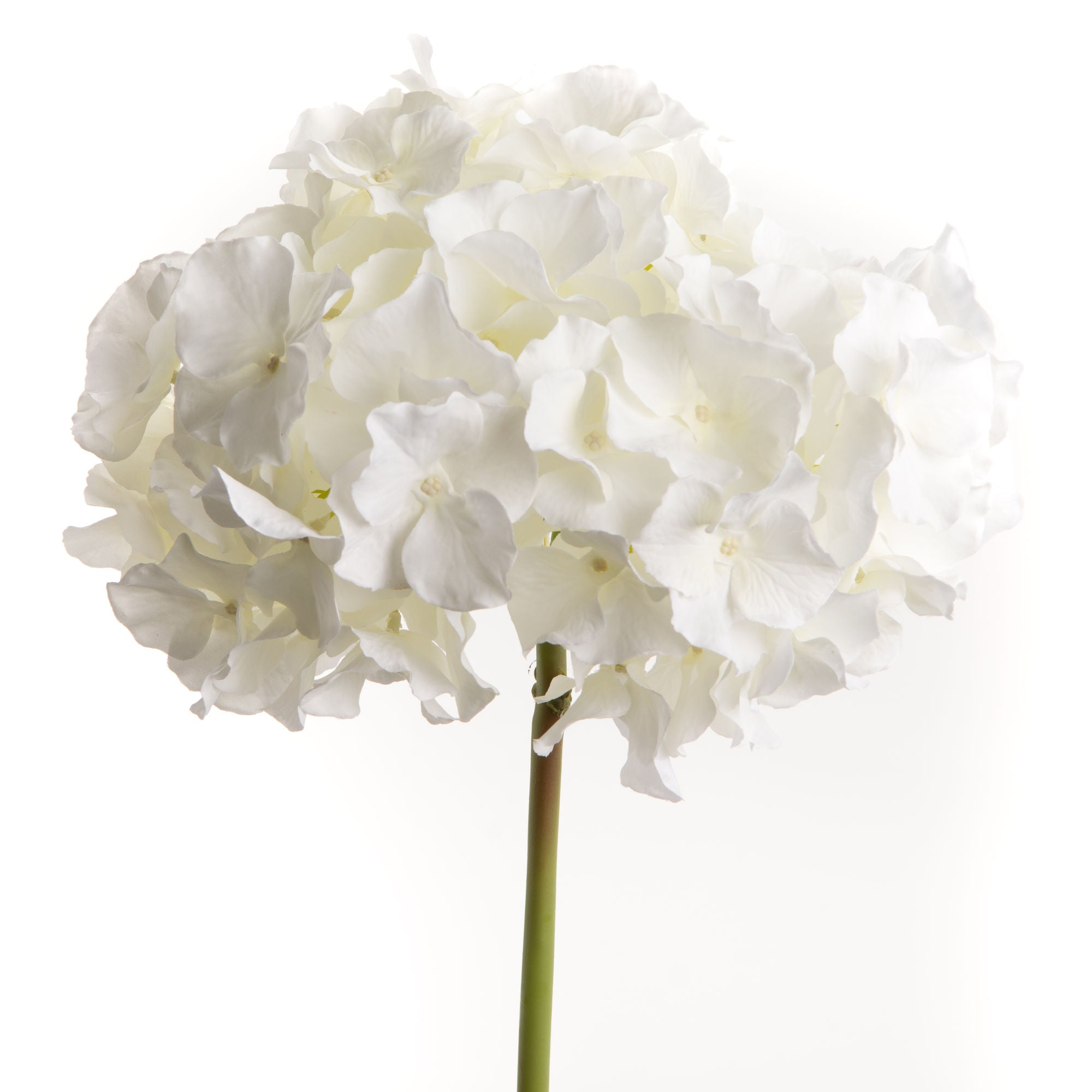 HORTENSIA ALTONA H48 BCBC - Maison d'Exception