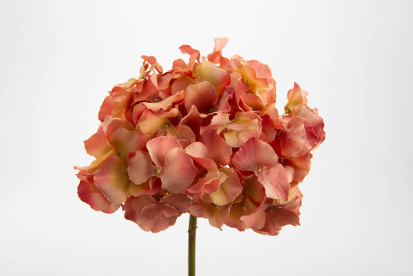 HORTENSIA ALTONA H48 COR/CORC - Maison d'Exception