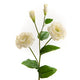 Lisianthus reality blanc - Maison d'Exception