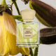 Sweet ambrette EDP 75ML - Maison d'Exception