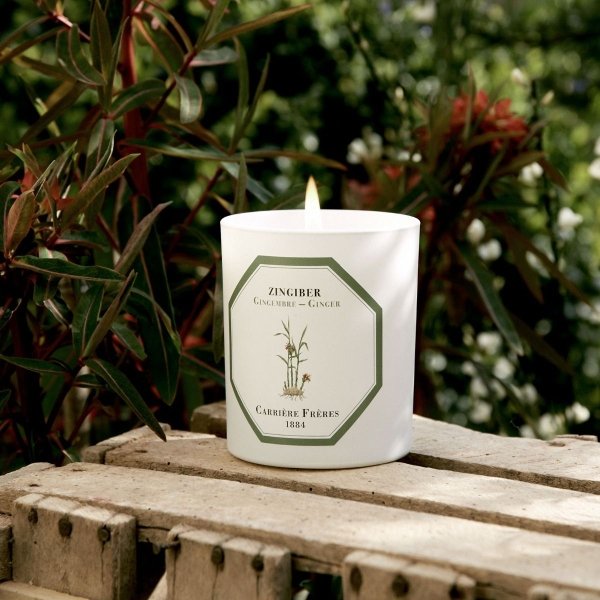 BOUGIE GINGEMBRE 185 G - Maison d'exception boutique